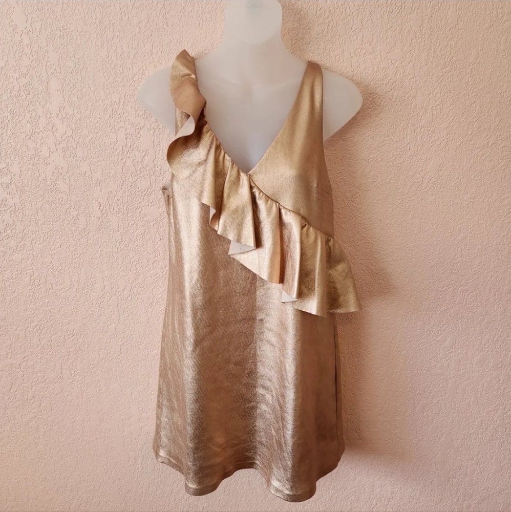 NWT Zara Trafaluc Collection Blush Pink Metallic Sleeveless Ruffle Dress m